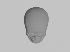 How poly skull 3D Model