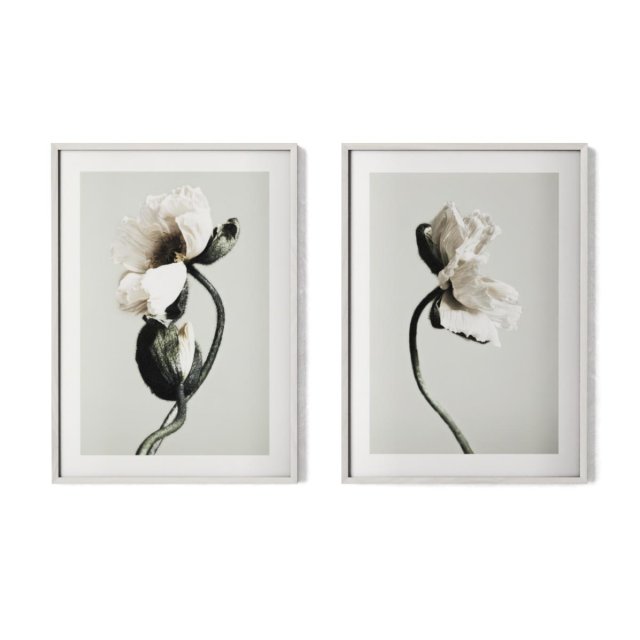 Poster pair - Abstract Flowers Modelo 3D .c4d .max .obj .3ds .fbx .stl .blend 