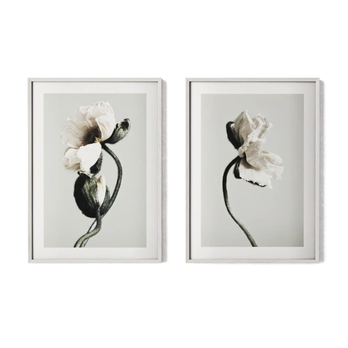 Par de p&ocirc;steres - Flores abstratas Modelo 3D .c4d .max .obj .3ds .fbx .stl .blend 