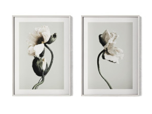 Poster pair - Abstract Flowers 3D Model
