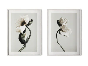 Par de p&ocirc;steres - Flores abstratas Modelo 3D