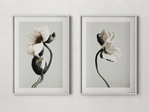 Par de p&ocirc;steres - Flores abstratas Modelo 3D