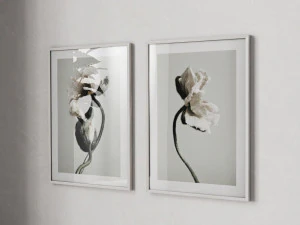 Par de p&ocirc;steres - Flores abstratas Modelo 3D