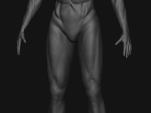 Male Sculpting Body Anatomy 3Dモデル