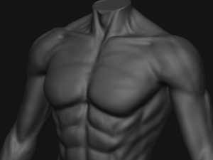Male Sculpting Body Anatomy Modèle 3D
