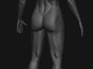 Male Sculpting Body Anatomy Modèle 3D