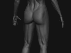 Male Sculpting Body Anatomy 3D Model