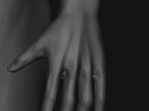 Male Sculpting Body Anatomy 3D Model