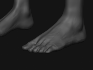 Male Sculpting Body Anatomy Modèle 3D