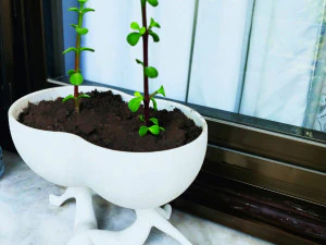 Pure love flower pot-ready to print 3D Print Model
