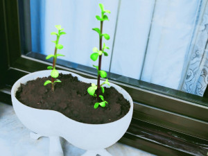 Pure love flower pot-ready to print 3D Druckmodell