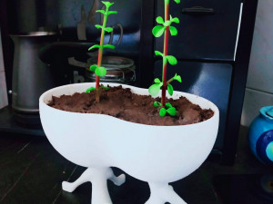 Pure love flower pot-ready to print 3D Druckmodell