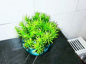 Freedom flower pot-ready to print 3Dプリントモデル
