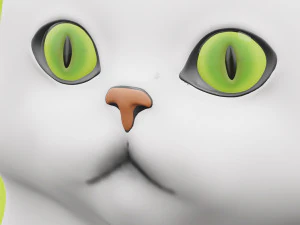 Persian Cat 001 3D Model