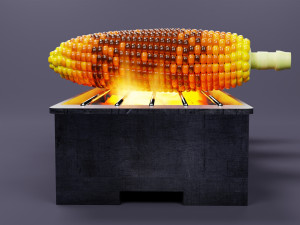 Roasted Corn 001 Model 3D