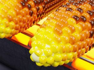 Roasted Corn 001 Model 3D
