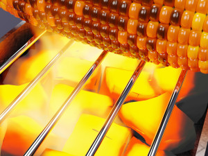 Roasted Corn 001 Model 3D