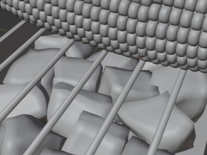 Roasted Corn 001 Model 3D