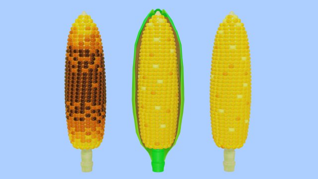Corn 001 3D Model .c4d .max .obj .3ds .fbx .stl .blend 