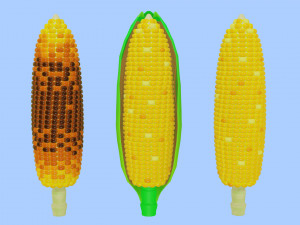 Corn 001 Modelo 3D