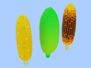 Corn 001 3D Model