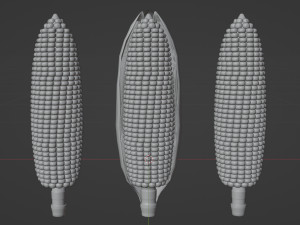 Corn 001 3D Model