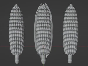 Corn 001 3D Model