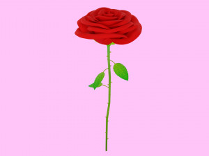 Rose 001 3D Модель