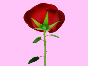 Rose 001 3D Model