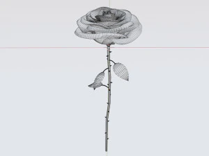 Rose 001 3D Model