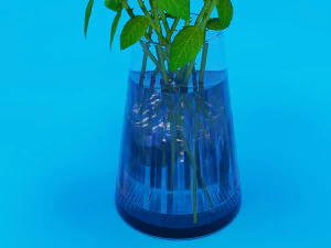 G&uuml;l 002 3D Model