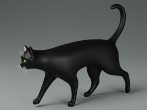 Domestic Black Cat 001 3D Model
