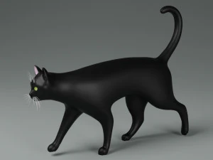 Domestic Black Cat 001 3D Model