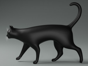 Domestic Black Cat 001 3D Model