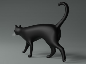 Domestic Black Cat 001 3D Model