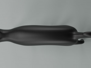 Domestic Black Cat 001 3D Model