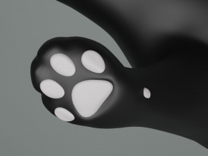 Domestic Black Cat 001 3D Model