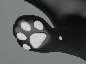 Domestic Black Cat 001 3D Model