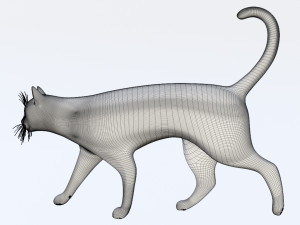 Domestic Black Cat 001 3D Model