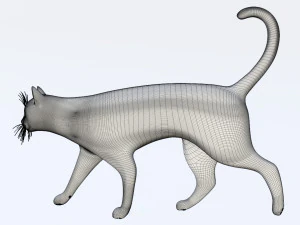 Domestic Black Cat 001 3D Model
