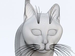 Domestic Black Cat 001 3D Model