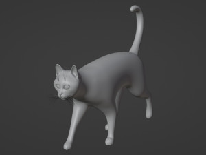 Domestic Black Cat 001 3D Model