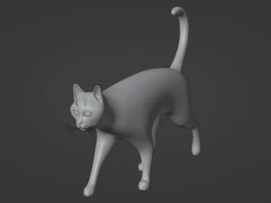 Domestic Black Cat 001 3D Model