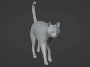 Domestic Black Cat 001 3D Model
