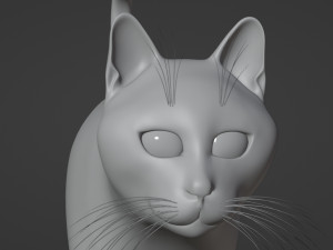 Domestic Black Cat 001 3D Model