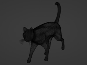 Domestic Black Cat 001 3D Model