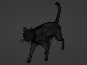 Domestic Black Cat 001 3D Model
