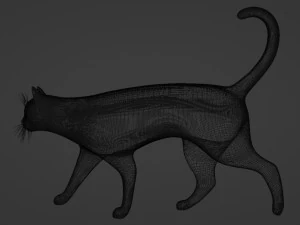 Domestic Black Cat 001 3D Model