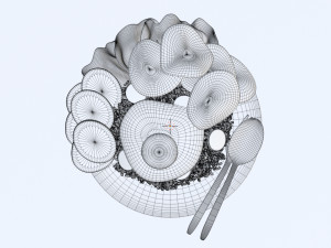 Fried Rice Nasi Goreng 001 Modelo 3D