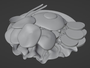 Fried Rice Nasi Goreng 001 Modelo 3D